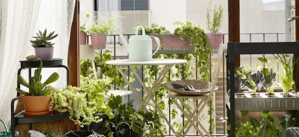 Comment avoir un beau jardin sur le balcon?