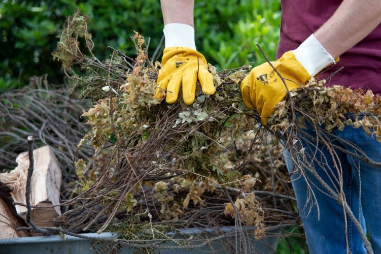 Quels sont les critères importants dans le choix de gants jetables pour un jardinier ?